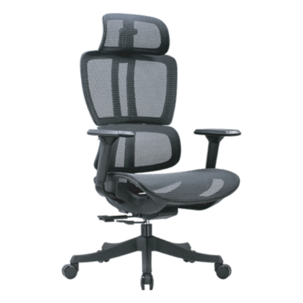 Silla Ejecutiva Ergonómica Doble Respaldo